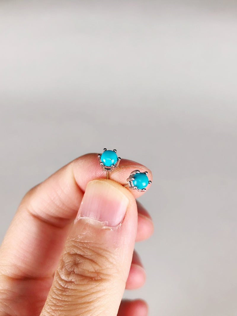 Genuine 6 Prong Turquoise Studs