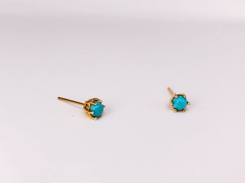 Genuine 6 Prong Turquoise Studs